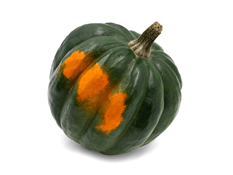 Acorn Squash