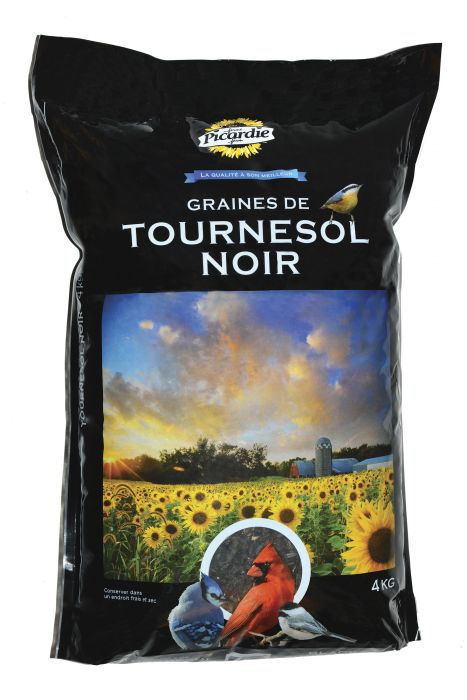 PICARDIE BLACK SUNFLOWER SEED