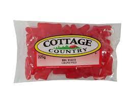 COTTAGE COUNTRY BIG FOOT