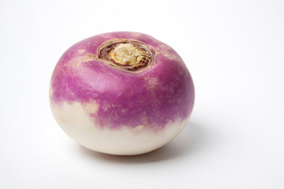 Canada #1 Turnip, 5 lb bag