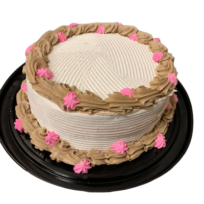 Neapolitan Ice Cream Cake