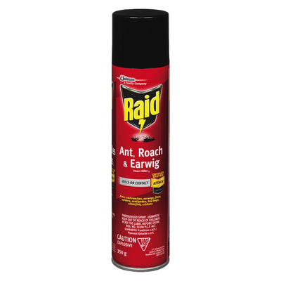 Johnson & Johnson Raid Ant Roach & Earwig Insect Killer, 350 g