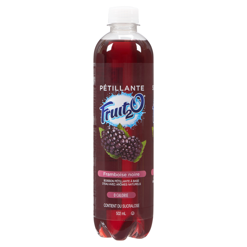 Fruit 2.O Black Raspberry Sparkling Water, 502 mL