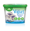 Scotsburn Blueberry Ripple Frozen Yogurt, 1.89 l