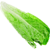 USDA Produce Organic Romaine Hearts