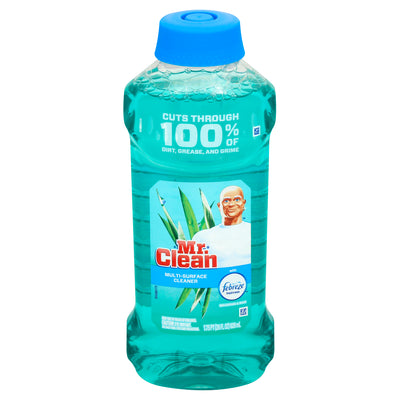Mr. Clean Meadows & Rain, 828 mL