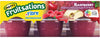 Mott's Fruitsations + Fibre Unsweetened Raspberry, 666 g (6 x 111 g)