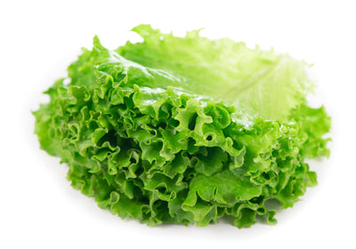 Green Leaf Lettuce