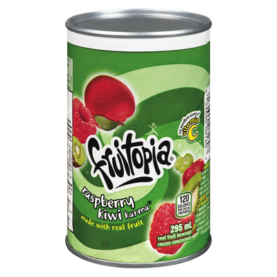 Fruitopia Raspberry Kiwi Karma Fruit Beverage, 295 mL