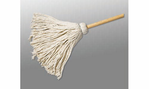Mop, 1 ct