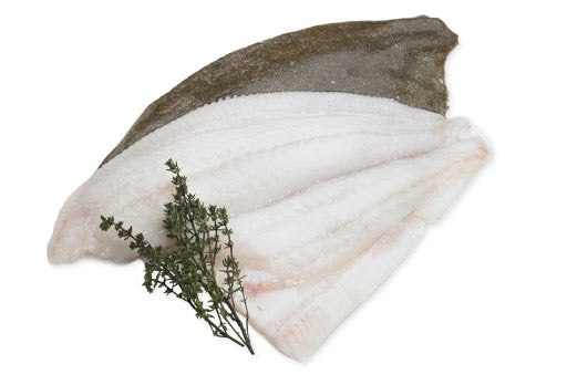Salt Turbot