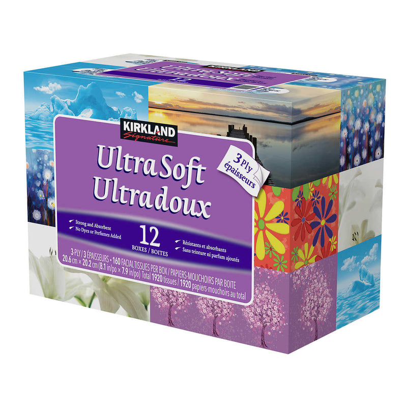 Kirkland Signature Individual Boxed Facial Tissues, 12 ct
