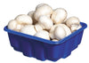 FRESH WHOLE WHITE MUSHROOMS