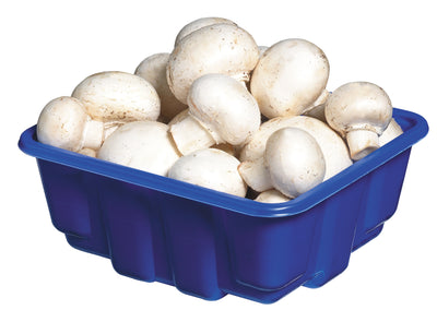 FRESH WHOLE WHITE MUSHROOMS