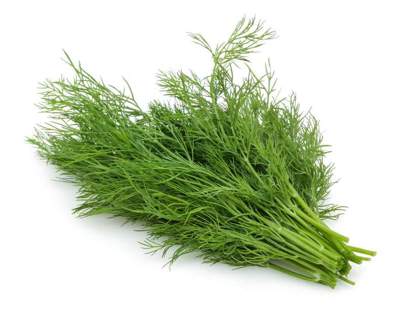 Dill, 1 ct