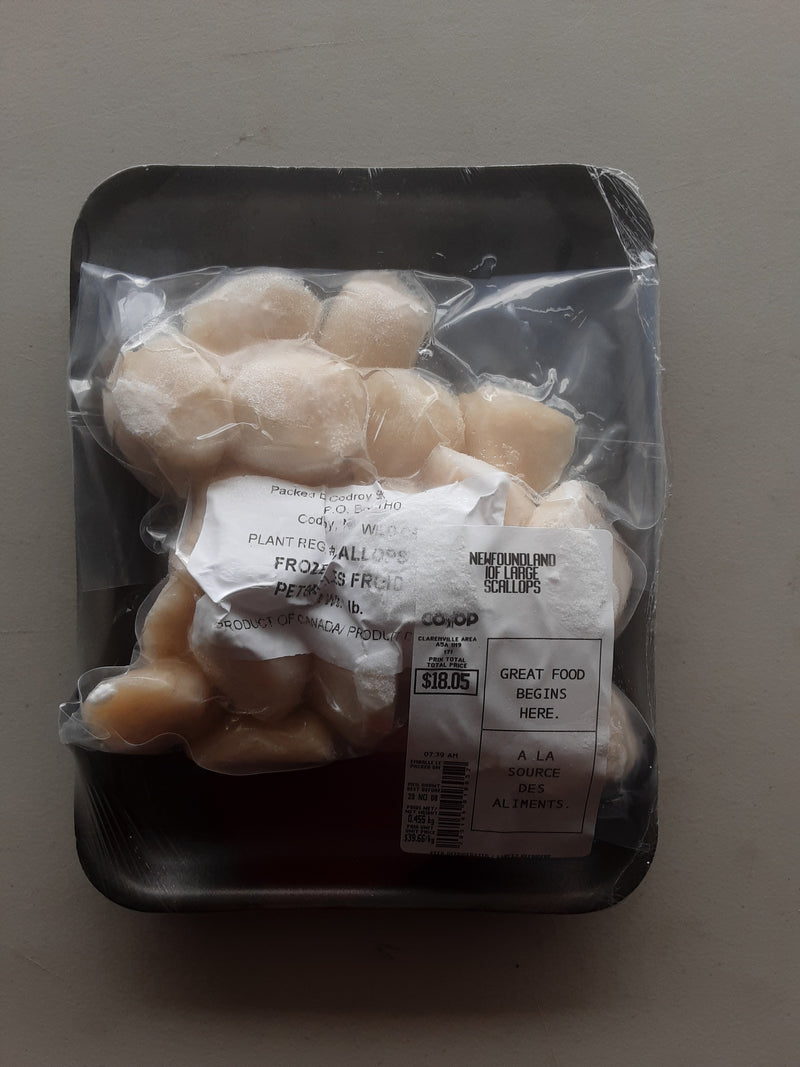 NEWFOUNDLAND IQF LARGE SCALLOPS