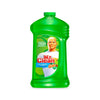Mr. Clean Hawaiian Aloha With Gain, 1.33L