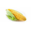 Fresh Corn (Single)