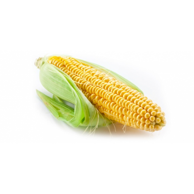 Fresh Corn (Single)