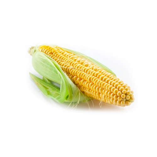 Fresh Corn (Single)