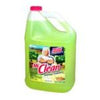 MR CLEAN SUMMER CITRUS, 3.78L