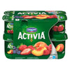 Danone Activia Blueberry/Strawberry/Peach/Raspberry, 12 x 100g