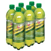 Schweppes Diet Ginger Ale, 6 x 710 mL