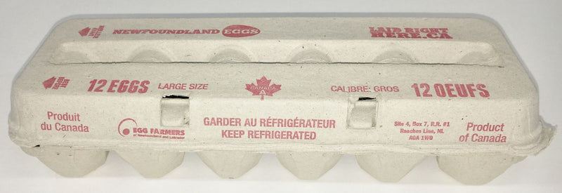 Newfoundland Eggs White Large, 12 ct