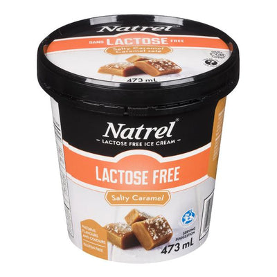 Natrel Lactose Free Salty Caramel Ice Cream, 473 mL