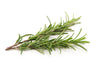 Rosemary, 1 ct