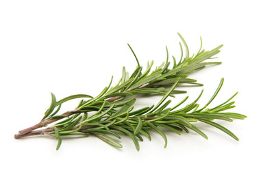 Rosemary, 1 ct