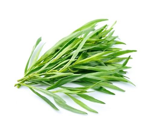 FRESH TARRAGON