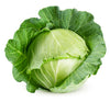 Canada #1 Cabbage