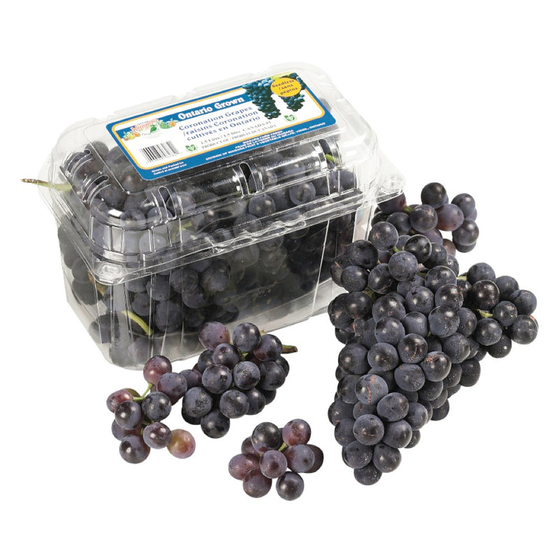 Ontario Grown Concord Grapes, 1lb