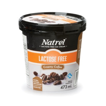 NATREL LACTOSE FREE COFFEE ICE CREAM