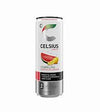 CELSIUS ENERGY MELON/LEMONADE