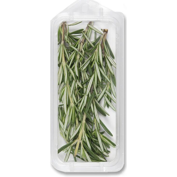 FRESH ROSEMARY