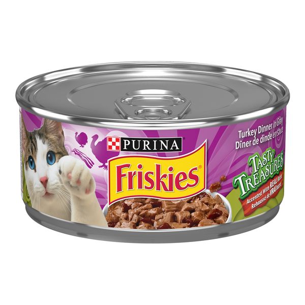 Friskies Tasty Treasures Turkey in Gravy