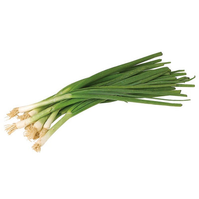 Green Onion, 1 ct