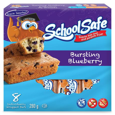 SCHOOL SAFE BLUEBERRY LOAVES