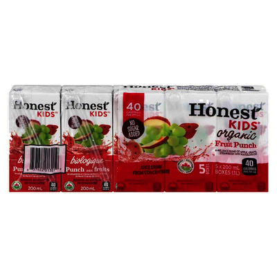 Honest Kids Fruit Punch Pouches, 5 ct