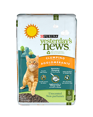 PURINA CAT LITTER UNSCENTED