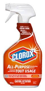 Clorox All-Purpose Cleaner, 946 mL